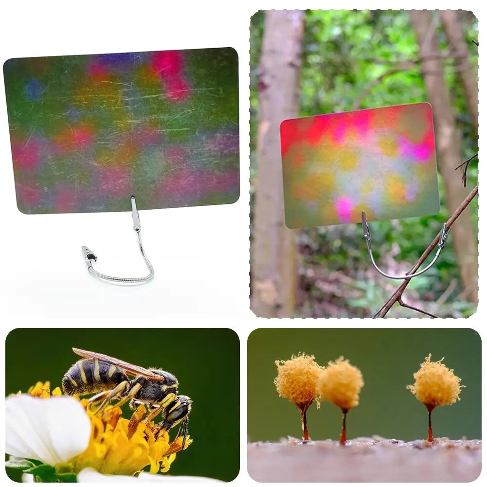 Macro Photography Tools Background Card Gradient Color 12 Pieces Double-side Colorful Macro Photography Background Card