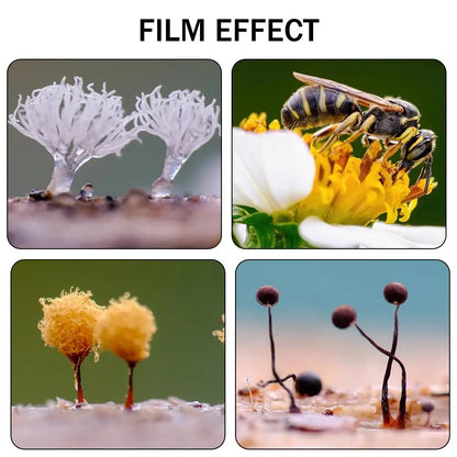 Macro Photography Tools Background Card Gradient Color 12 Pieces Double-side Colorful Macro Photography Background Card